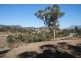25 Braeview Drive, Old Beach TAS 7017