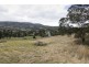 Lot 1&2 Cove Hill Road, Honeywood TAS 7017