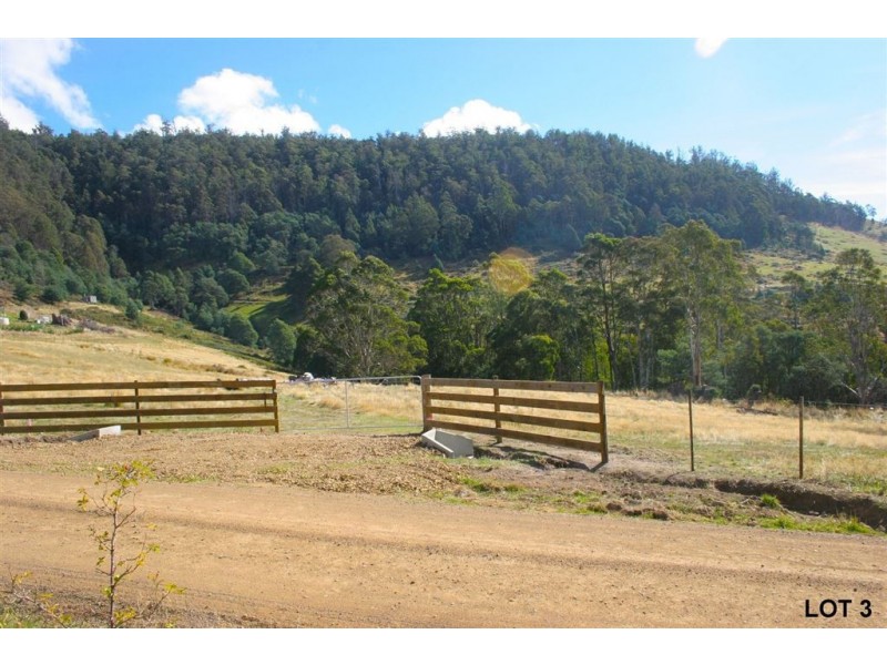 Lots 3 & 4 Top Swamp Road, Lachlan TAS 7140