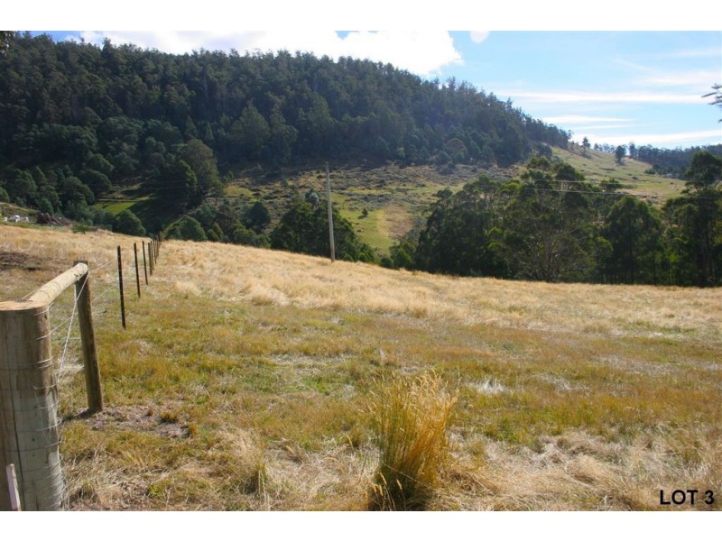 Lots 3 & 4 Top Swamp Road, Lachlan TAS 7140
