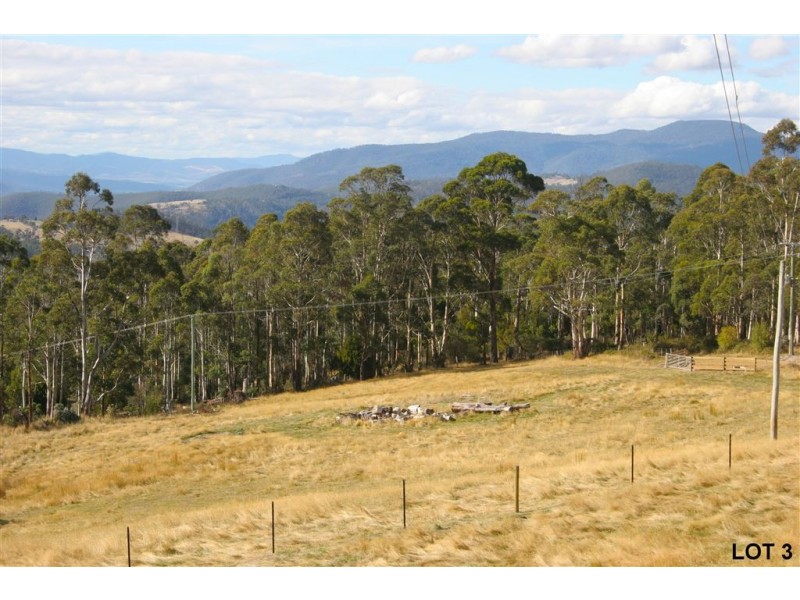 Lots 3 & 4 Top Swamp Road, Lachlan TAS 7140