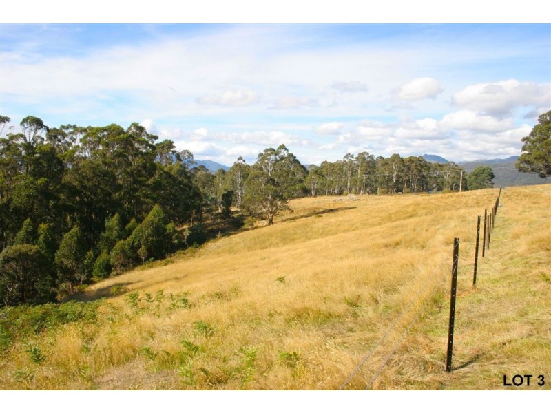 Lots 3 & 4 Top Swamp Road, Lachlan TAS 7140