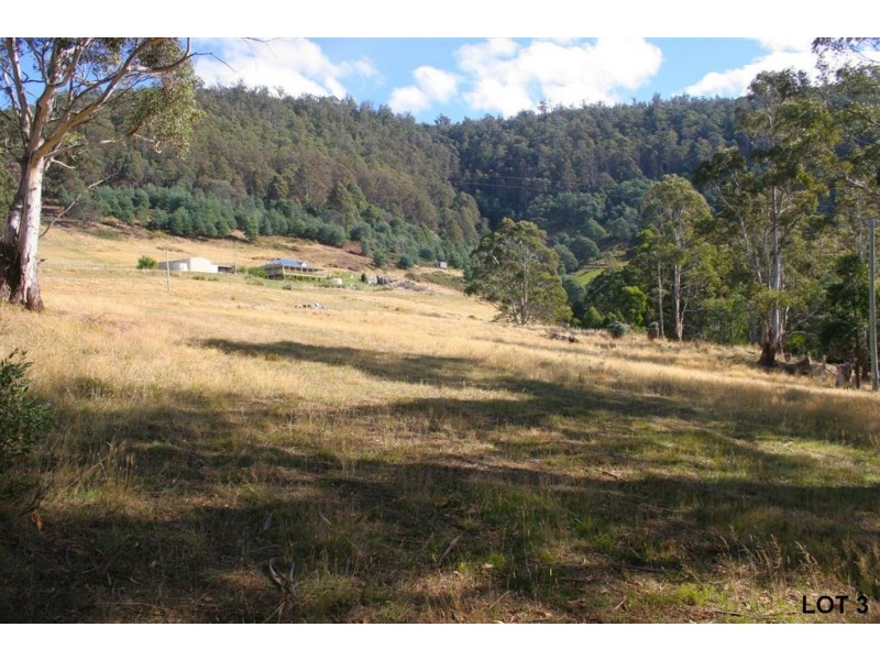 Lots 3 & 4 Top Swamp Road, Lachlan TAS 7140