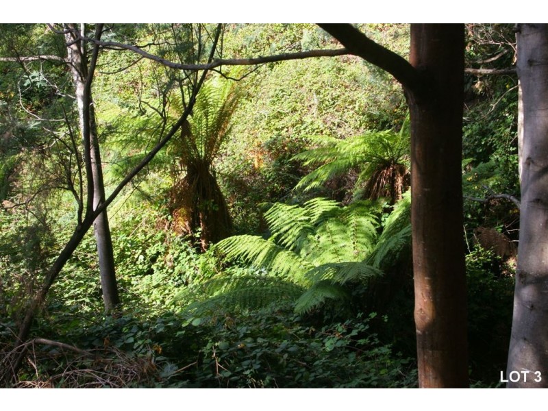 Lots 3 & 4 Top Swamp Road, Lachlan TAS 7140