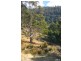Lots 3 & 4 Top Swamp Road, Lachlan TAS 7140