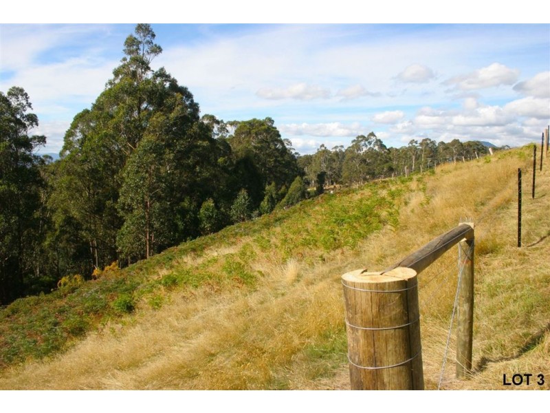 Lots 3 & 4 Top Swamp Road, Lachlan TAS 7140