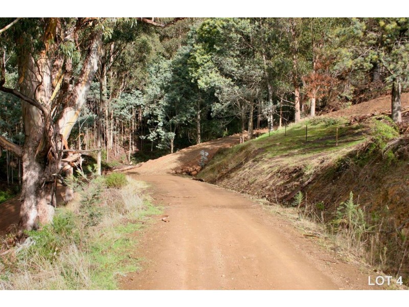 Lots 3 & 4 Top Swamp Road, Lachlan TAS 7140