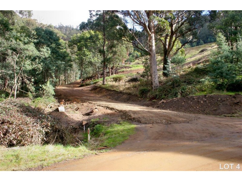Lots 3 & 4 Top Swamp Road, Lachlan TAS 7140