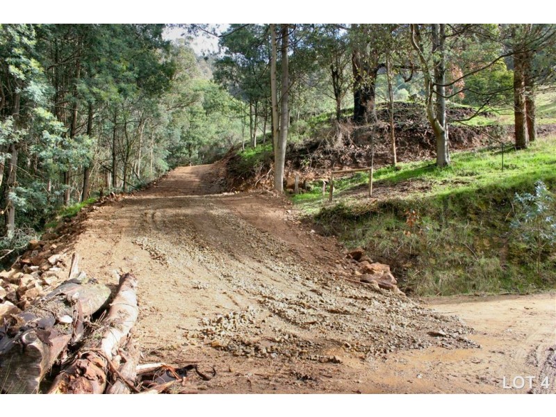 Lots 3 & 4 Top Swamp Road, Lachlan TAS 7140