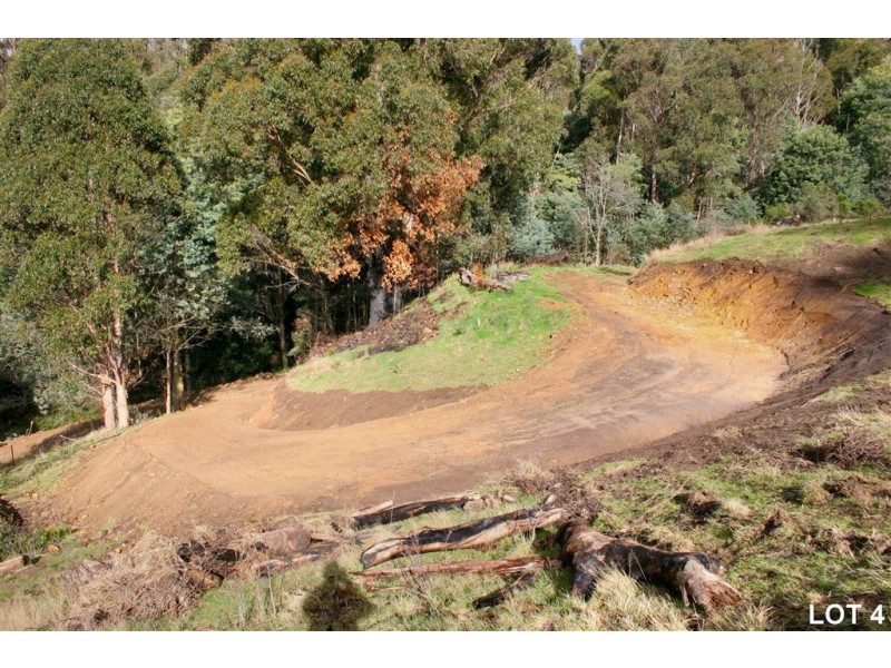 Lots 3 & 4 Top Swamp Road, Lachlan TAS 7140