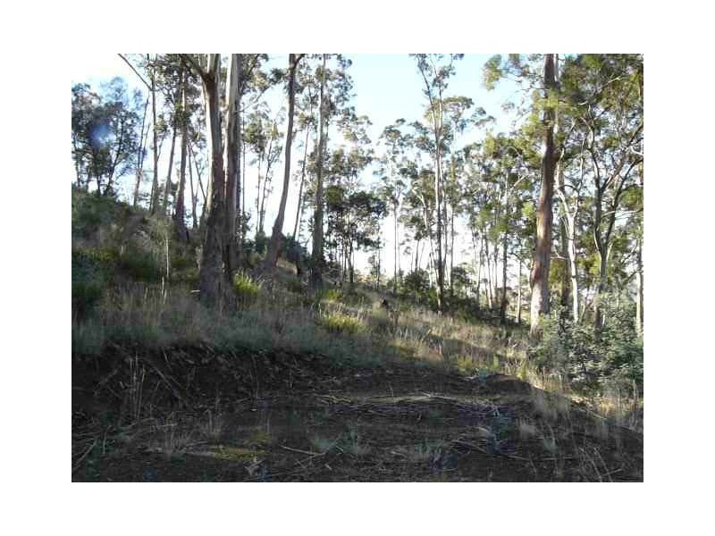 124 Church Road, Dromedary TAS 7030