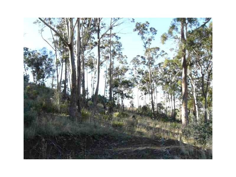 124 Church Road, Dromedary TAS 7030