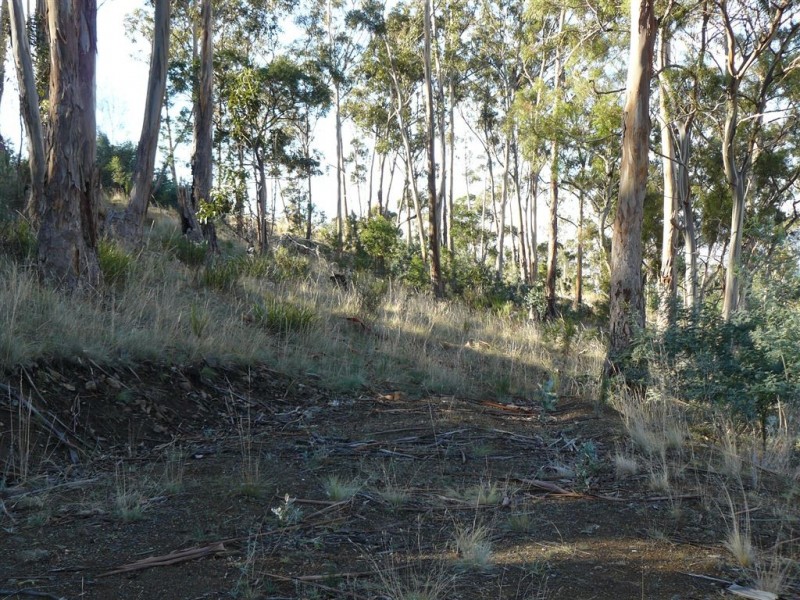 124 Church Road, Dromedary TAS 7030