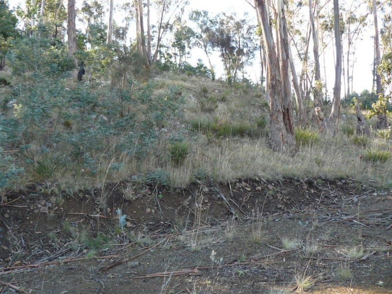 124 Church Road, Dromedary TAS 7030