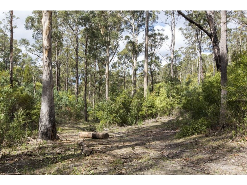 373 Church Road, Dromedary TAS 7030