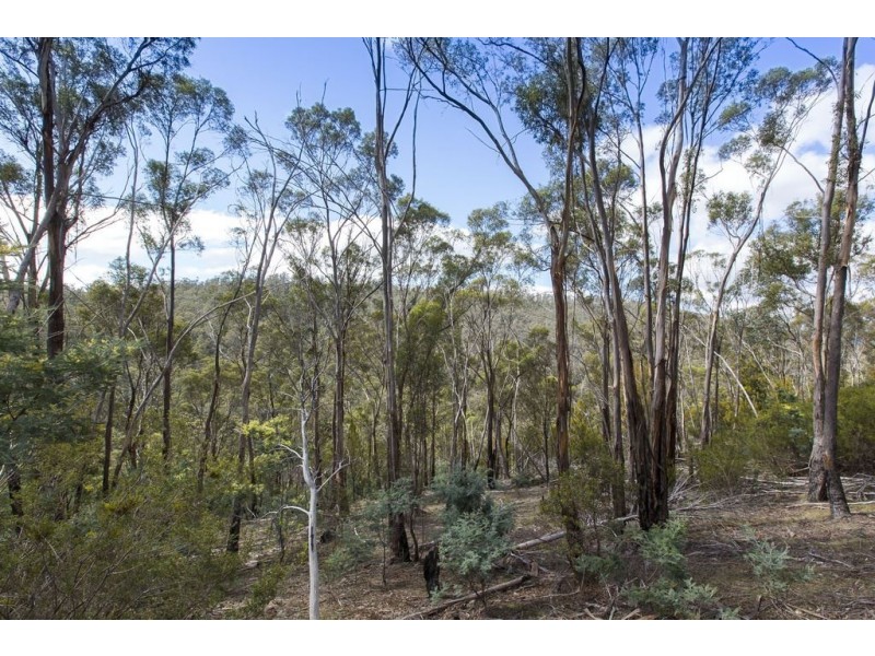 373 Church Road, Dromedary TAS 7030