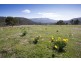 77 Glen Dhu Road, Molesworth TAS 7140