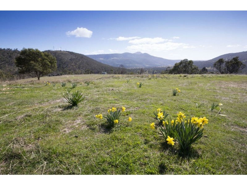77 Glen Dhu Road, Molesworth TAS 7140
