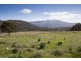 77 Glen Dhu Road, Molesworth TAS 7140