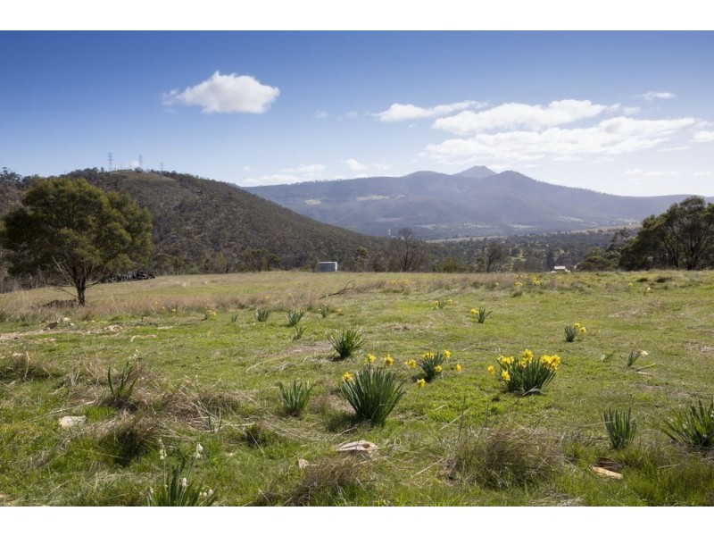 77 Glen Dhu Road, Molesworth TAS 7140