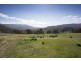 77 Glen Dhu Road, Molesworth TAS 7140