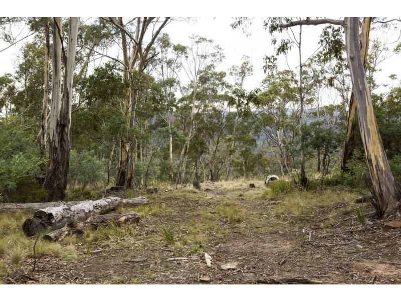 87 Isaac Road, Black Hills TAS 7140