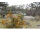 87 Isaac Road, Black Hills TAS 7140