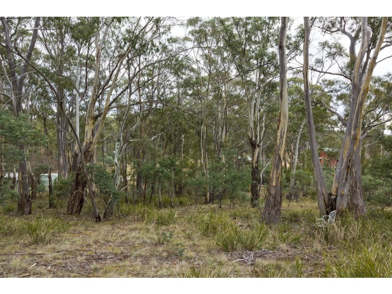 87 Isaac Road, Black Hills TAS 7140