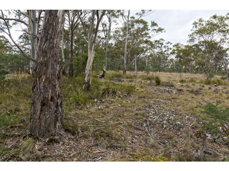 87 Isaac Road, Black Hills TAS 7140