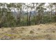 87 Isaac Road, Black Hills TAS 7140
