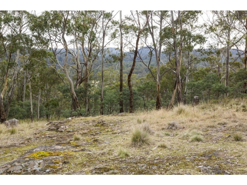 87 Isaac Road, Black Hills TAS 7140