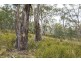 87 Isaac Road, Black Hills TAS 7140