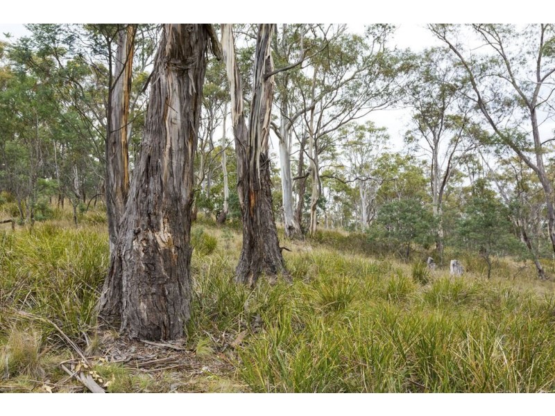 87 Isaac Road, Black Hills TAS 7140