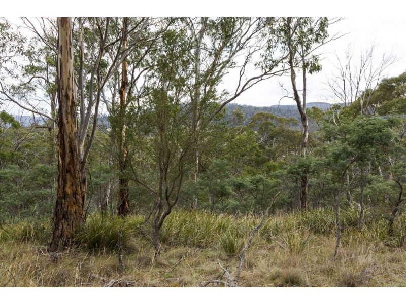 87 Isaac Road, Black Hills TAS 7140