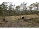 87 Isaac Road, Black Hills TAS 7140