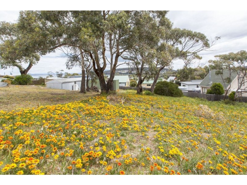 1 Spiraea Street, Primrose Sands TAS 7173