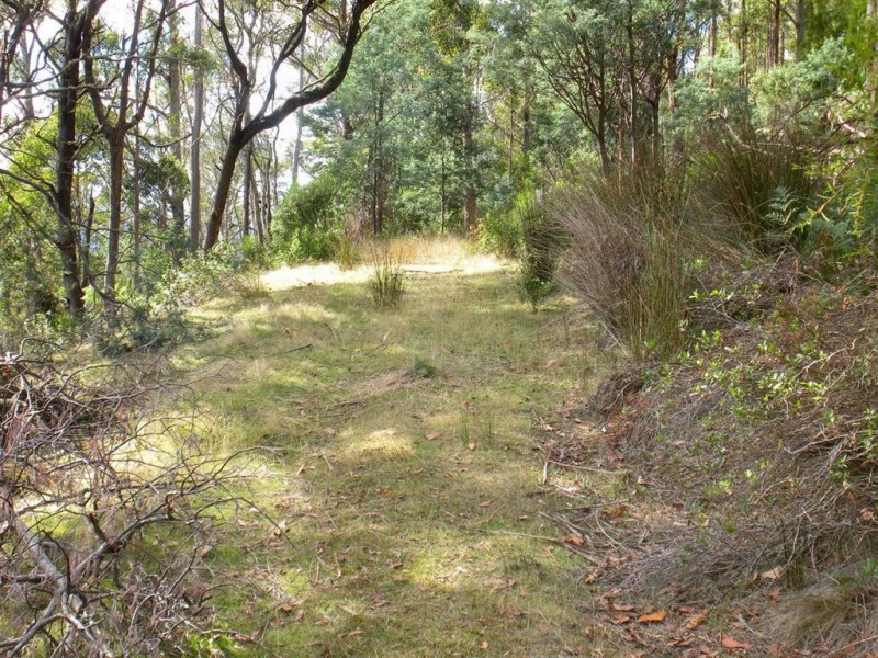 Lot 1 Church Road, Dromedary TAS 7030