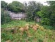 00 Harlow Road, Lutana TAS 7009