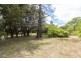 “Holyrood”/40 High Street, Oatlands TAS 7120