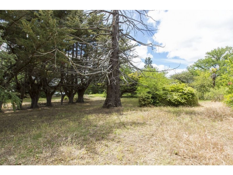 “Holyrood”/40 High Street, Oatlands TAS 7120