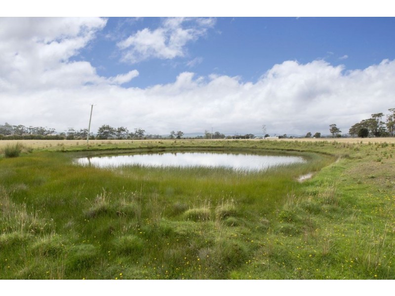 Lot 1 Tasman Highway, Runnymede TAS 7190