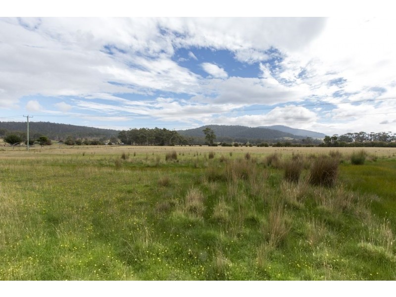 Lot 1 Tasman Highway, Runnymede TAS 7190