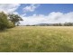 Lot 1 Tasman Highway, Runnymede TAS 7190