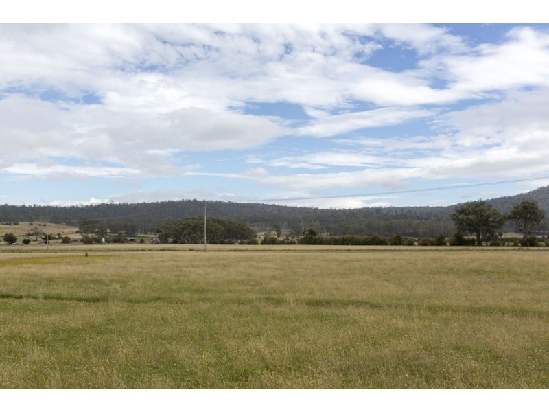 Lot 1 Tasman Highway, Runnymede TAS 7190