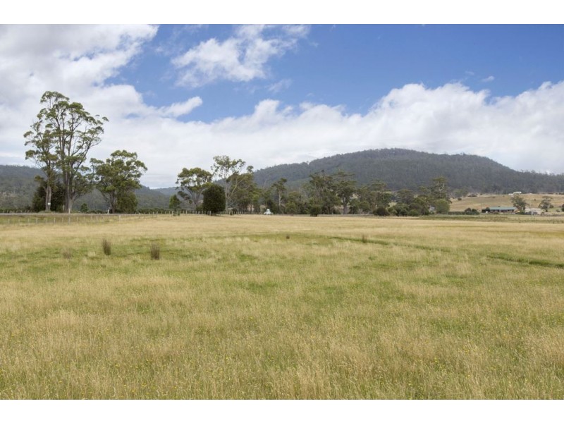 Lot 1 Tasman Highway, Runnymede TAS 7190