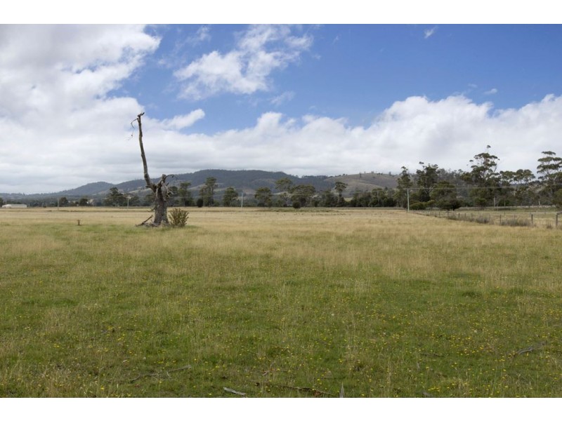Lot 1 Tasman Highway, Runnymede TAS 7190