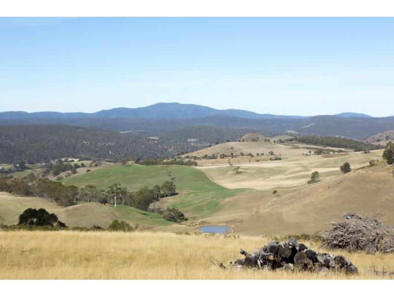 313 Rhyndaston Road, Colebrook TAS 7027