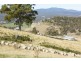 313 Rhyndaston Road, Colebrook TAS 7027