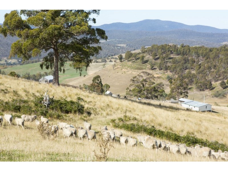 313 Rhyndaston Road, Colebrook TAS 7027