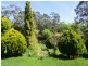 1678 Gordon River Road, Westerway TAS 7140